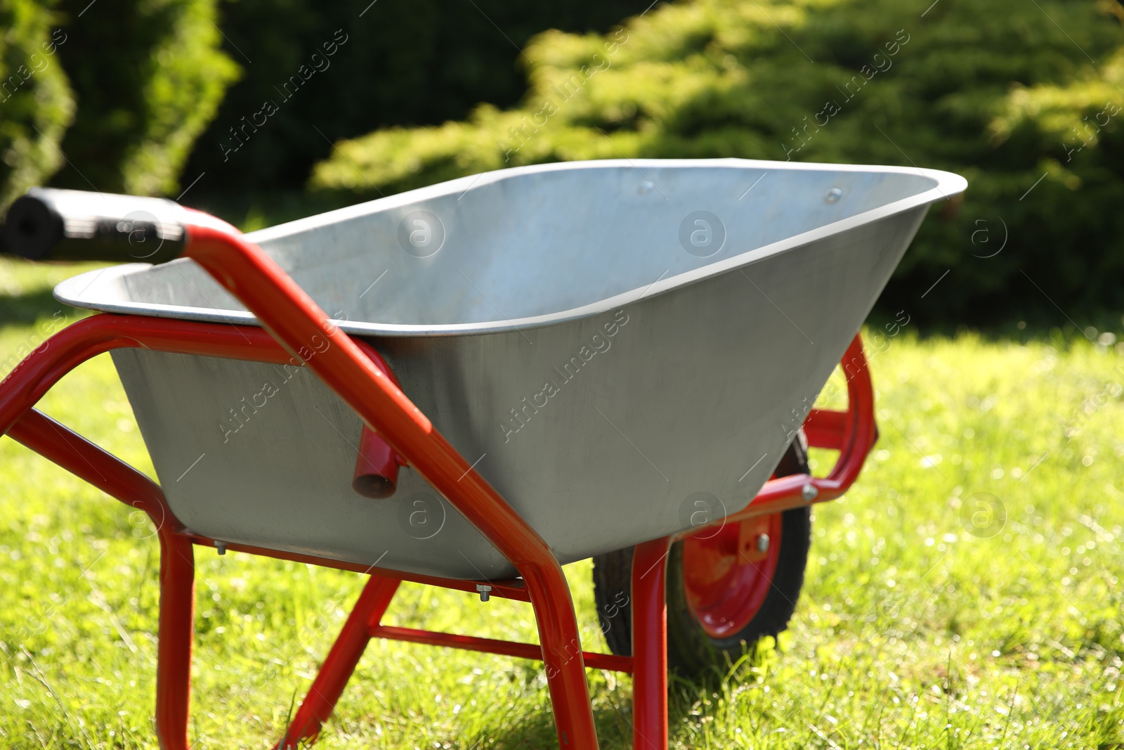 Photo of One wheelbarrow on green grass in garden