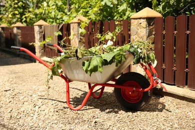 Metal wheelbarrow with green wilted leaves outdoors