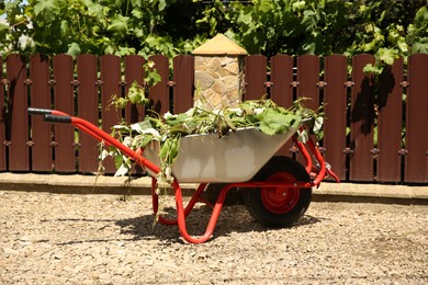 Metal wheelbarrow with green wilted leaves outdoors