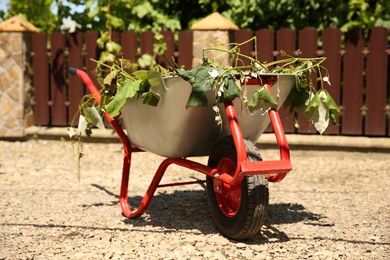 Photo of Metal wheelbarrow with green wilted leaves outdoors