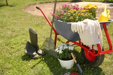 Photo of Wheelbarrow with different beautiful flowers, rubber boots and gardening tools outdoors