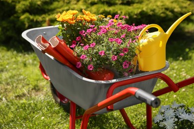 Photo of Wheelbarrow with different beautiful flowers, rubber boots and watering can outdoors, closeup