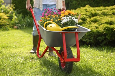 Farmer pushing wheelbarrow with different beautiful flowers and gardening tools outdoors, closeup