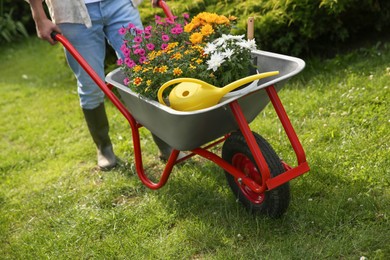 Photo of Farmer pushing wheelbarrow with different beautiful flowers and gardening tools outdoors, closeup