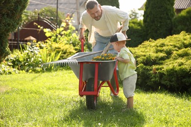 Photo of Father with his son holding wheelbarrow full of beautiful flowers and gardening tools outdoors