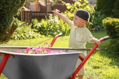 Photo of Cute little boy with wheelbarrow full of beautiful flowers pointing at something outdoors