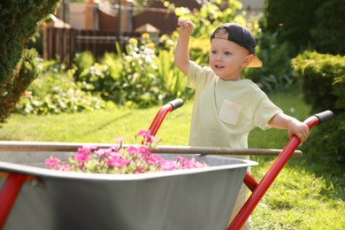 Photo of Cute little boy with wheelbarrow full of beautiful flowers outdoors