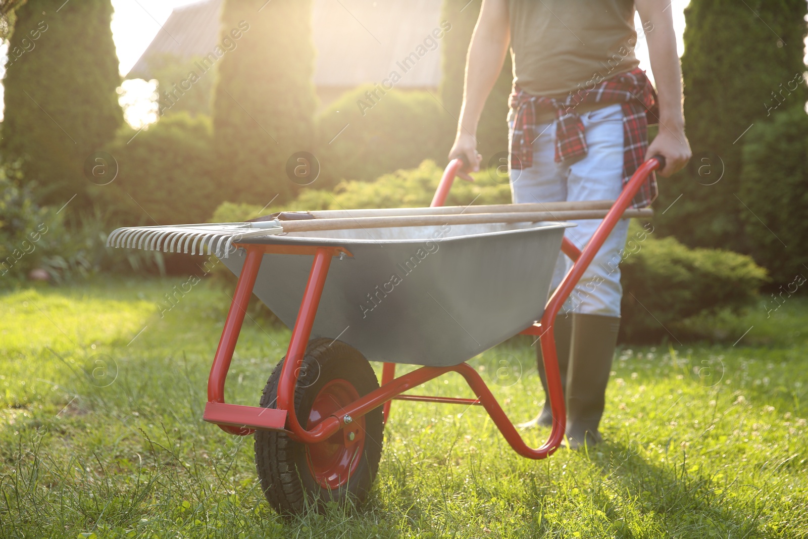 Photo of Man with wheelbarrow and gardening tools outdoors on sunny day, closeup