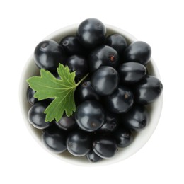 Bowl of ripe blackcurrants and green leaf isolated on white, top view