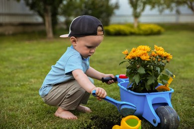 Photo of Cute little boy holding toy shovel near small wheelbarrow with beautiful flowers outdoors