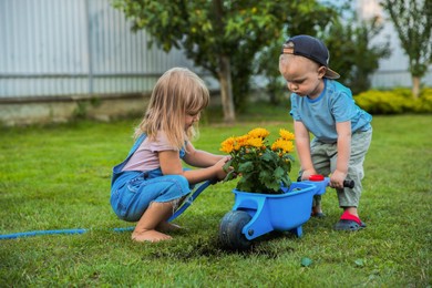 Photo of Cute little boy holding wheelbarrow while his sister watering flowers outdoors