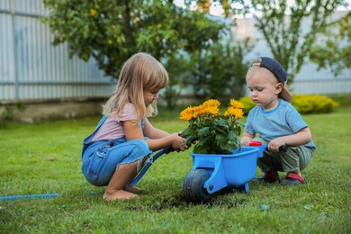 Photo of Cute little boy holding wheelbarrow while his sister watering flowers outdoors