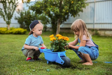 Cute little boy holding wheelbarrow while his sister watering flowers outdoors