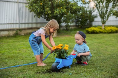 Cute little boy holding wheelbarrow while his sister watering flowers outdoors