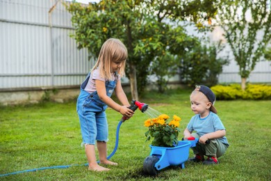 Cute little boy holding wheelbarrow while his sister watering flowers outdoors