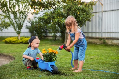 Cute little boy holding wheelbarrow while his sister watering flowers outdoors