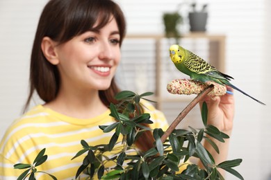 Woman feeding bright parrot with bird treat indoors, selective focus. Exotic pet