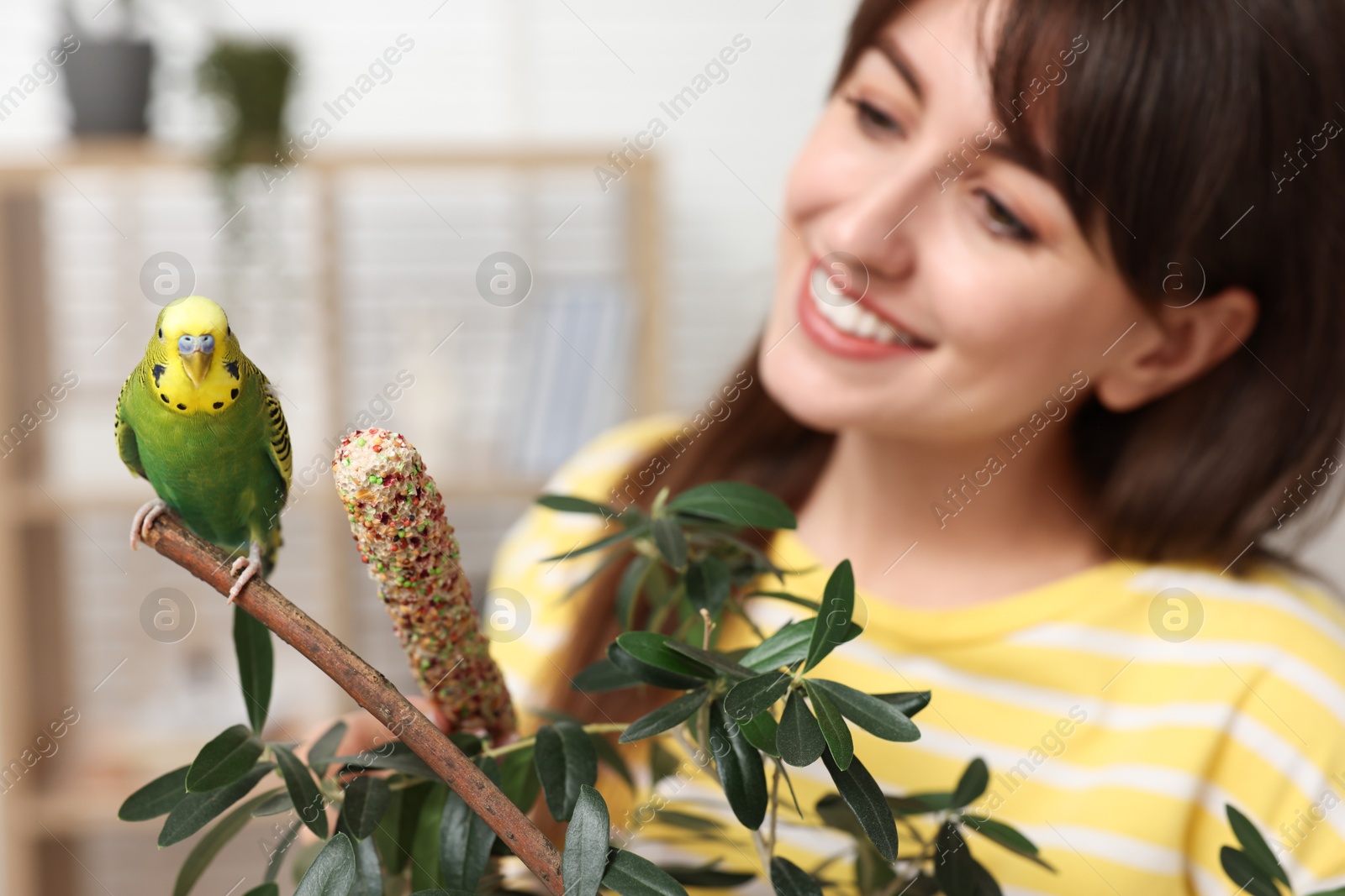 Photo of Woman with bright parrot indoors, selective focus. Exotic pet