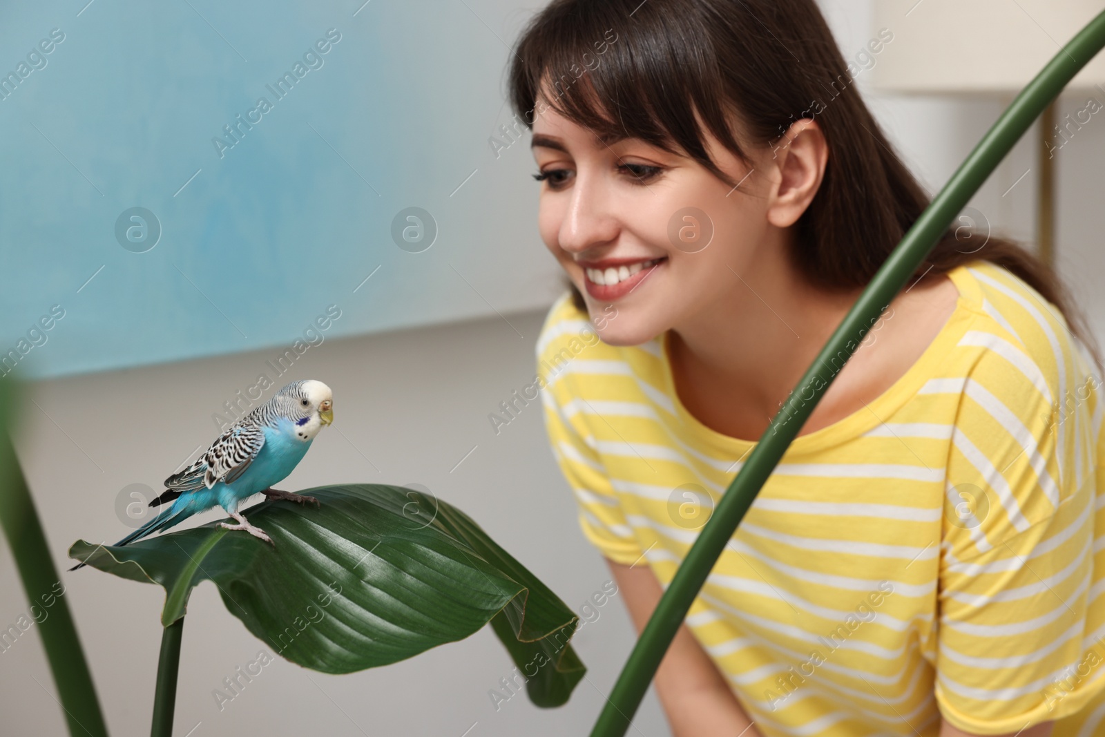 Photo of Woman with bright parrot indoors. Exotic pet