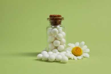 Bottle of homeopathic remedy and chamomile on light green background