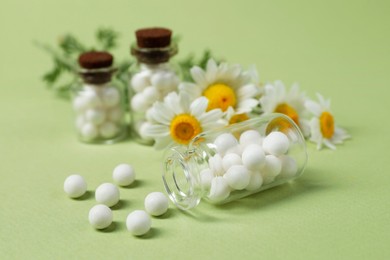 Bottles with homeopathic remedy and chamomiles on light green background, closeup