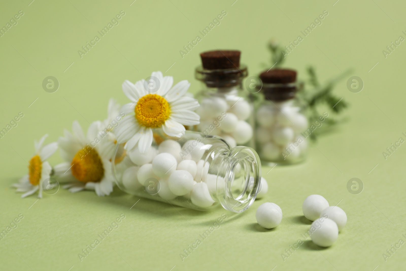 Photo of Bottles with homeopathic remedy and chamomiles on light green background, closeup