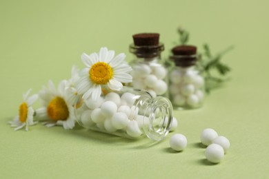 Bottles with homeopathic remedy and chamomiles on light green background, closeup