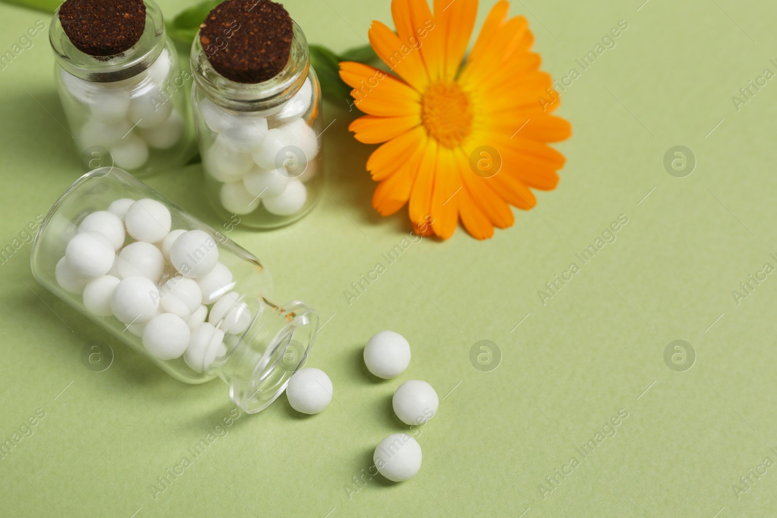 Photo of Bottles with homeopathic remedy and calendula on light green background. Space for text