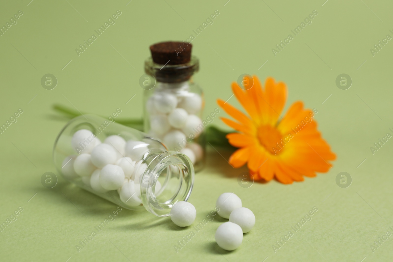 Photo of Bottles with homeopathic remedy and calendula on light green background, closeup