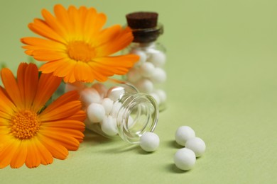 Photo of Bottles with homeopathic remedy and calendula on light green background, closeup. Space for text