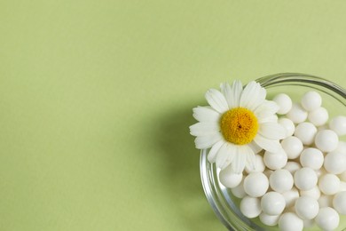 Photo of Homeopathic remedy and chamomile in bowl on light green background, top view. Space for text