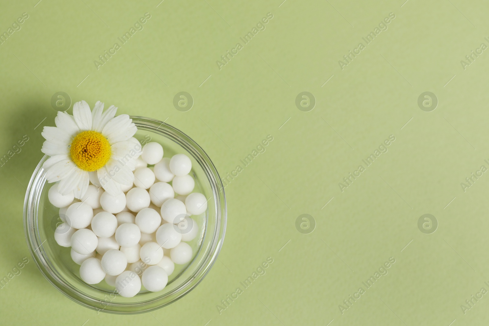 Photo of Homeopathic remedy and chamomile in bowl on light green background, top view. Space for text