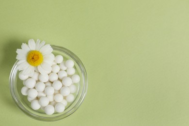 Photo of Homeopathic remedy and chamomile in bowl on light green background, top view. Space for text