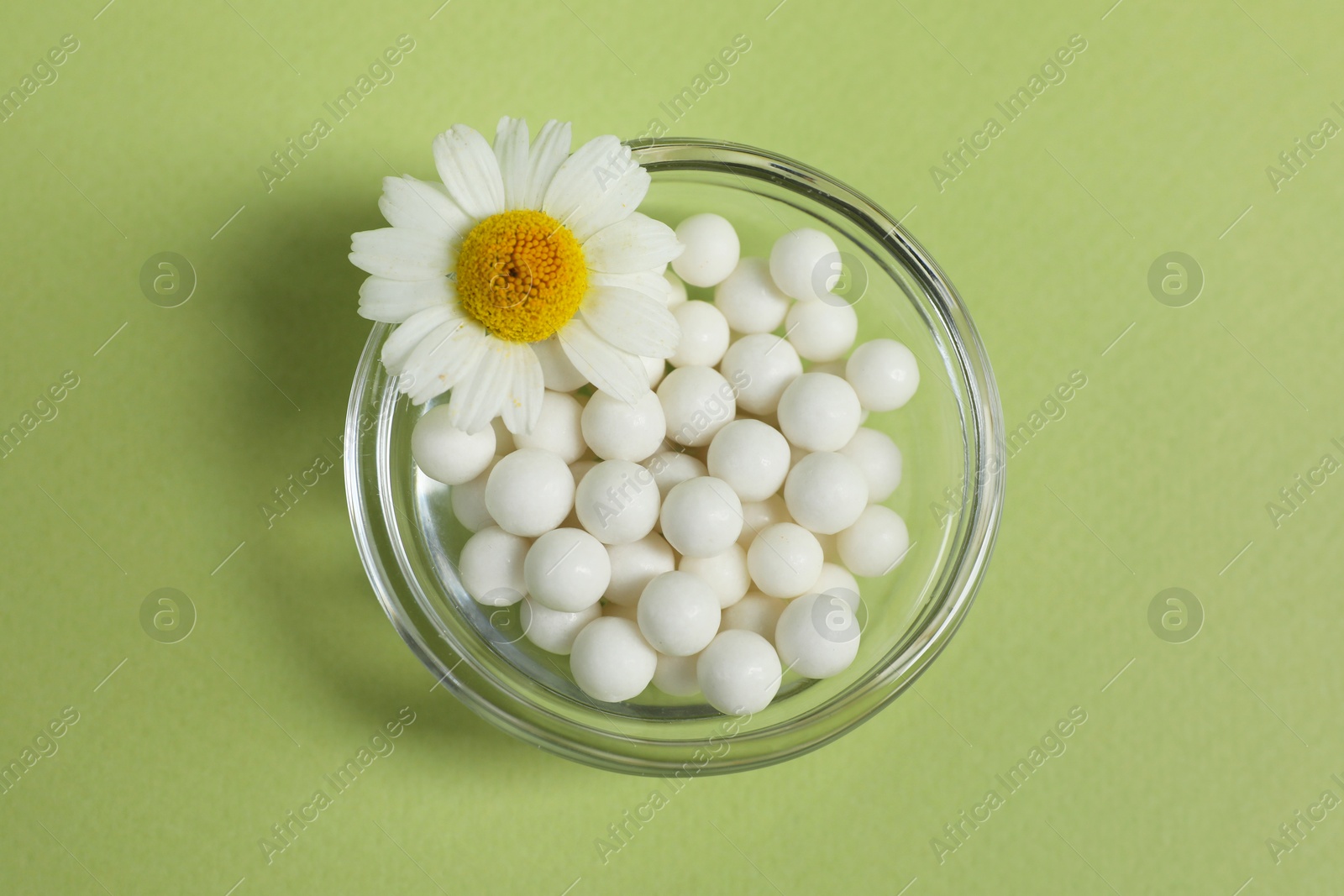 Photo of Homeopathic remedy and chamomile in bowl on light green background, top view