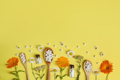 Photo of Flat lay composition with homeopathic remedy and flowers on yellow background. Space for text