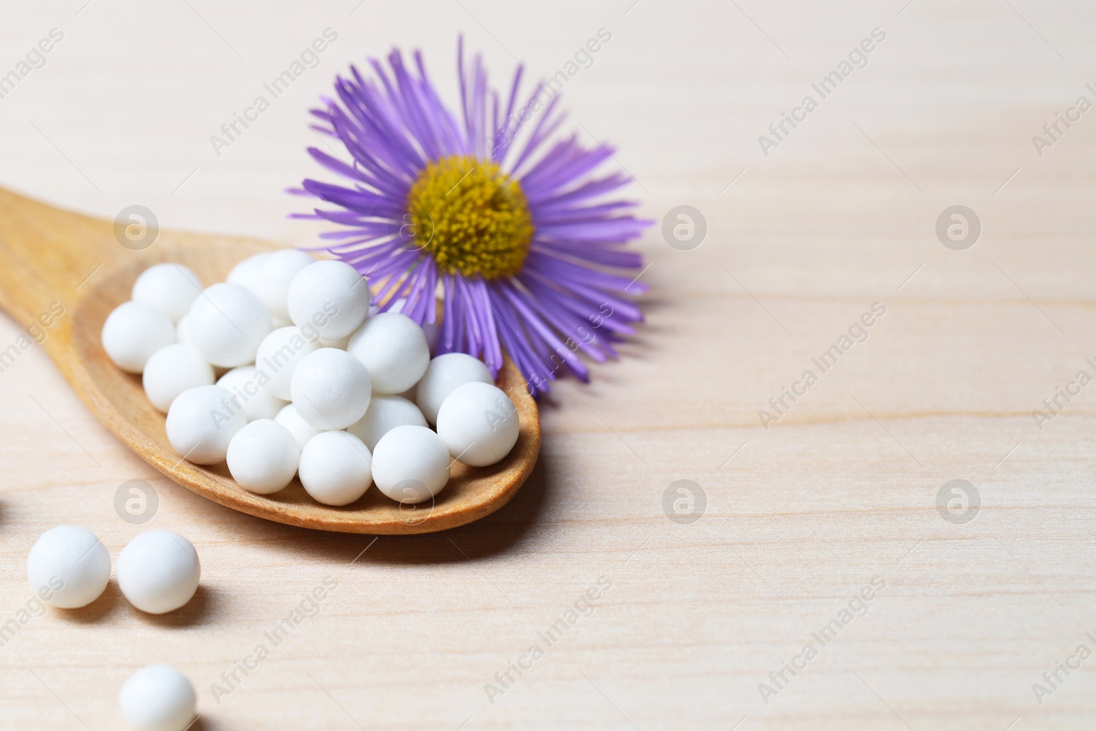 Photo of Homeopathy. Spoon with pills and wild flower on wooden table, closeup. Space for text