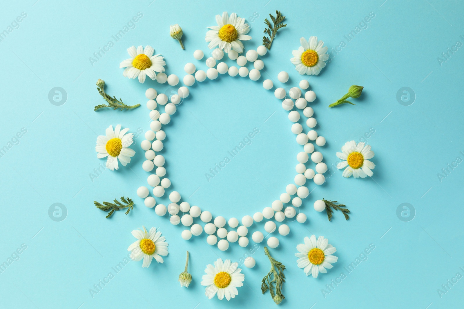 Photo of Homeopathy. Frame made of pills and chamomile flowers on light blue background, top view. Space for text