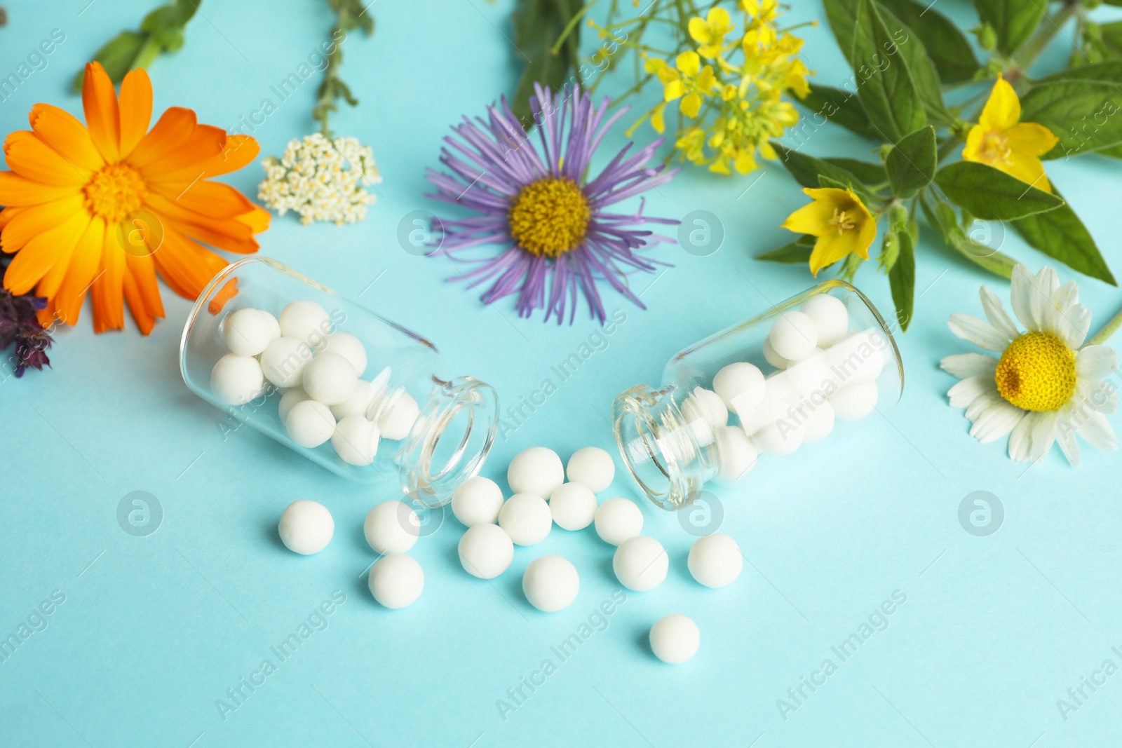 Photo of Homeopathy. Glass bottles with pills and different meadow flowers on light blue background