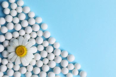 Homeopathy. Many pills and chamomile flower on light blue background, flat lay. Space for text