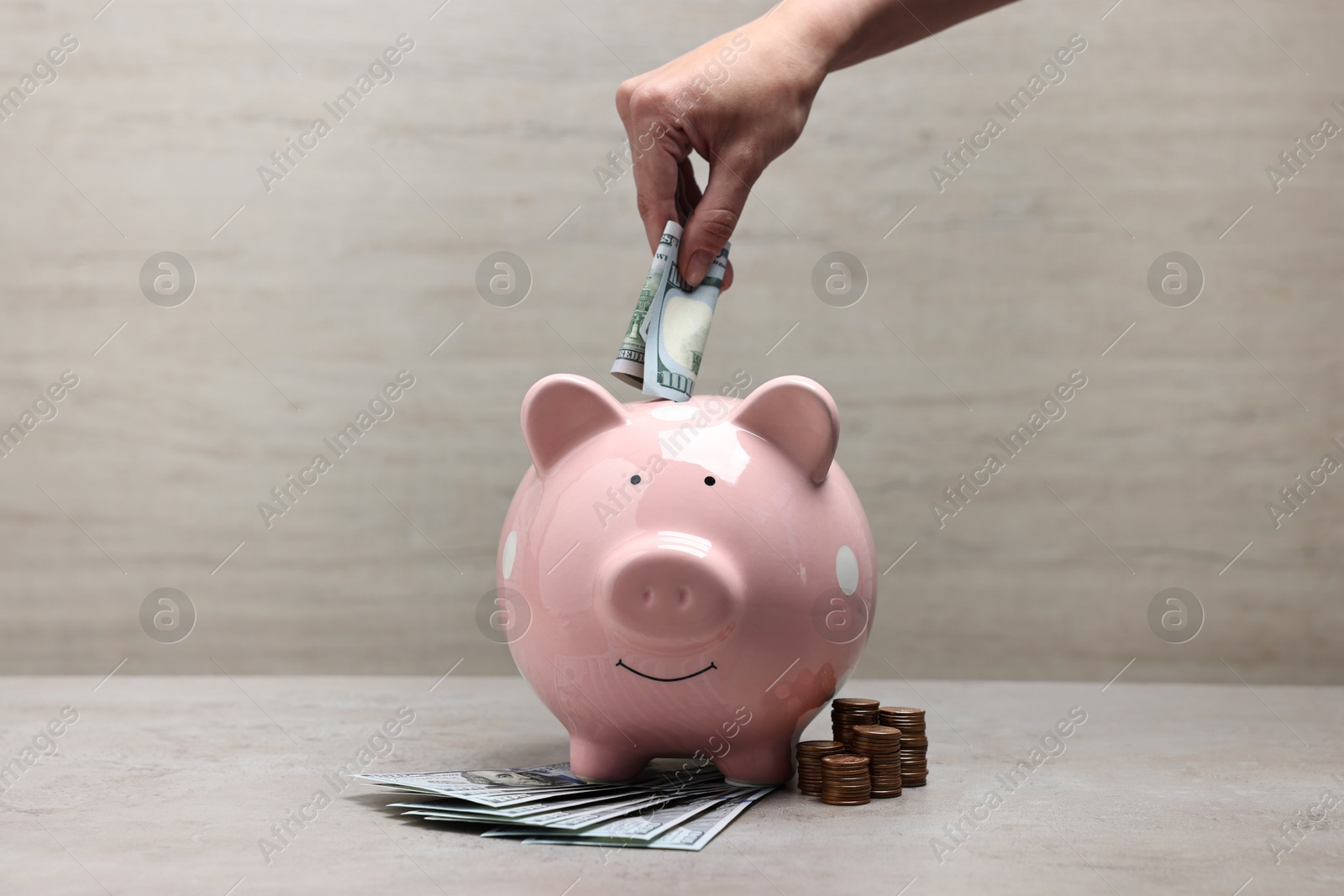 Photo of Woman putting dollar banknote into pink piggy bank at grey table, closeup