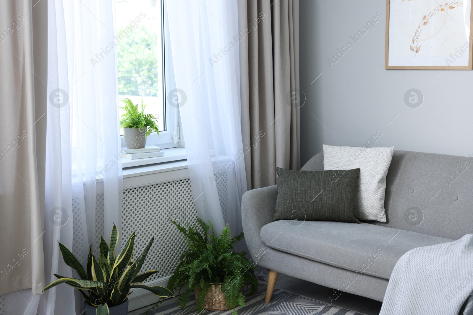 Photo of Comfortable sofa and elegant curtains in living room. Interior design