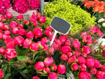 Photo of Assortment of beautiful flowers in floral shop, closeup