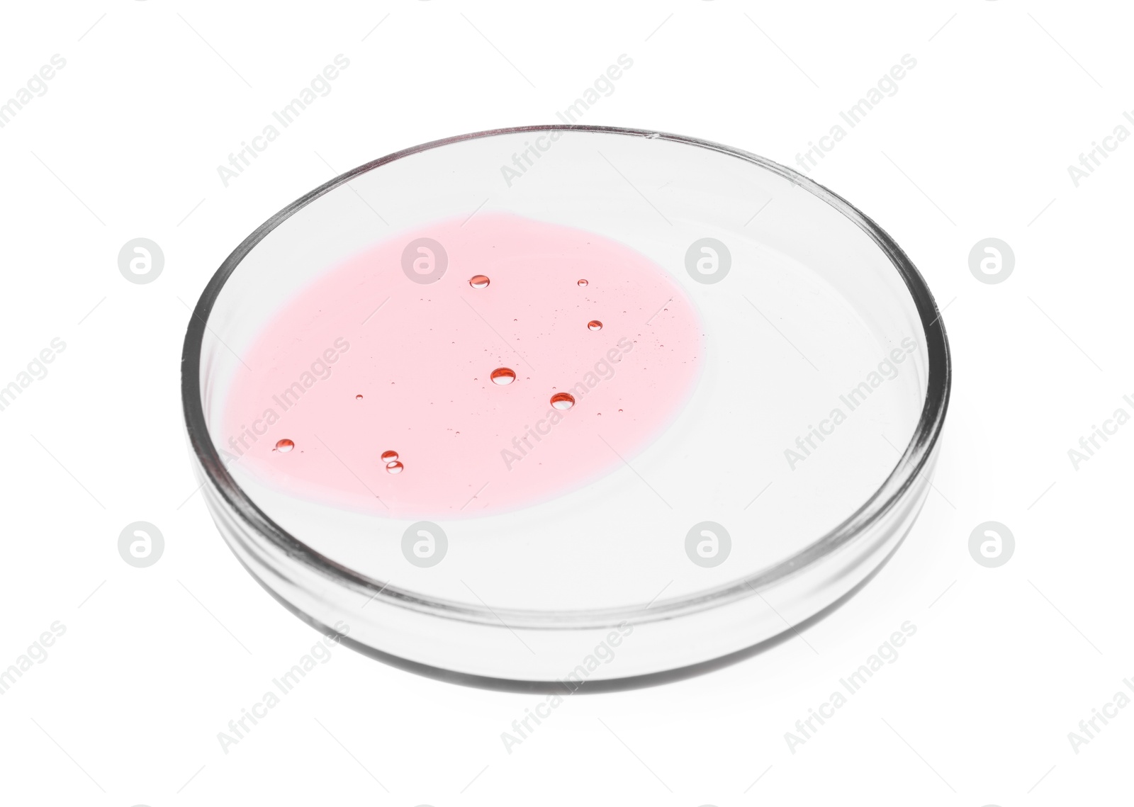 Photo of Petri dish with sample isolated on white