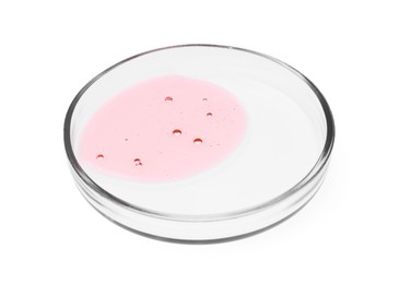 Photo of Petri dish with sample isolated on white