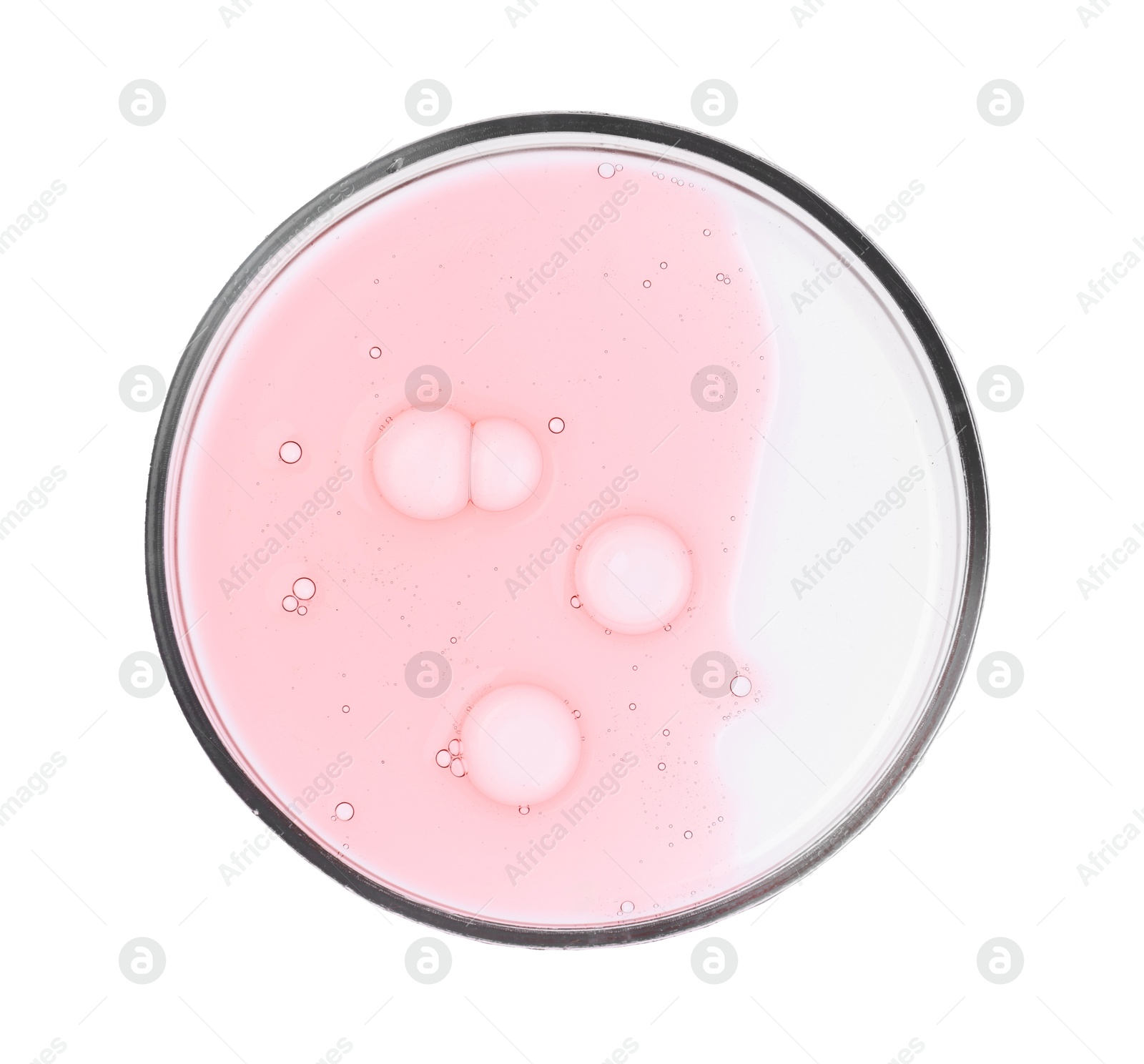 Photo of Petri dish with sample isolated on white, top view