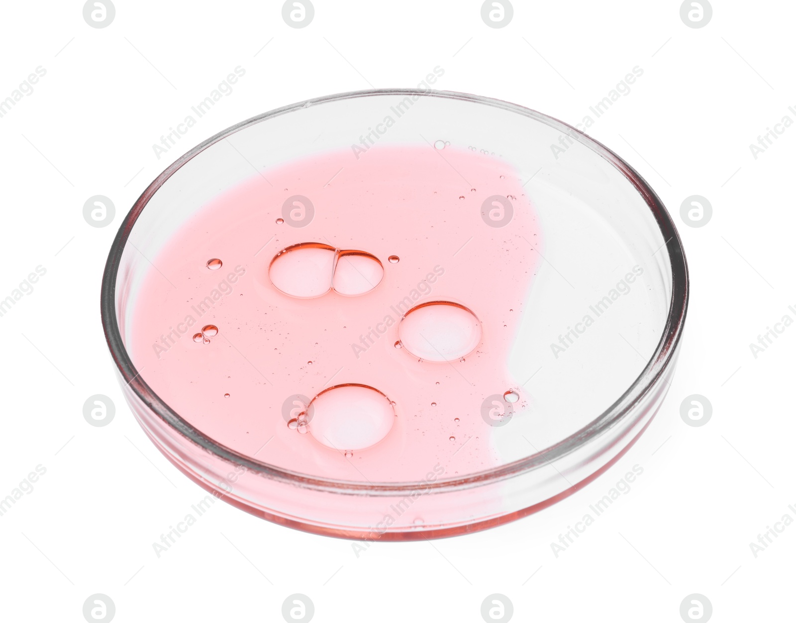 Photo of Petri dish with sample isolated on white