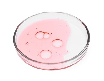 Petri dish with sample isolated on white