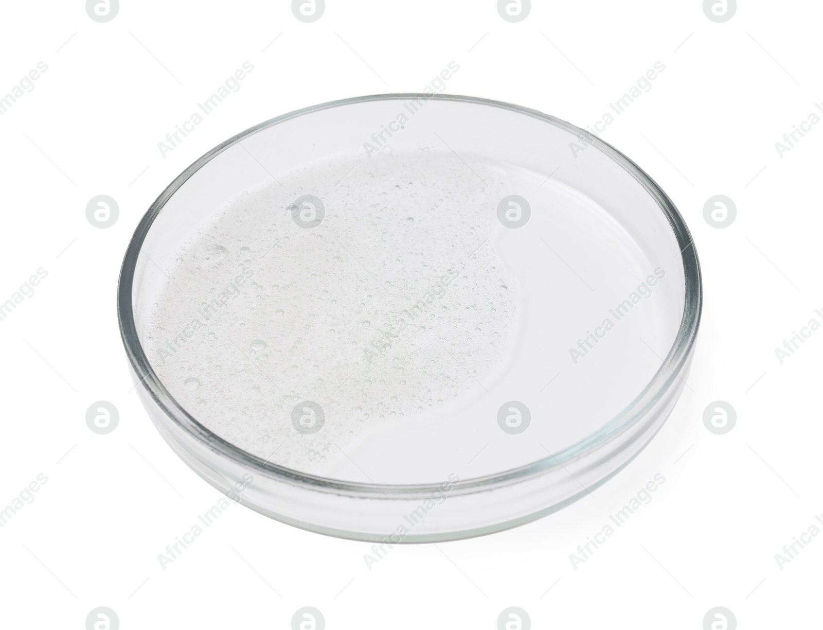 Photo of Petri dish with sample isolated on white