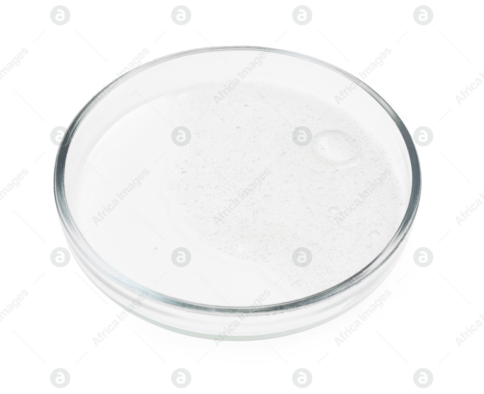 Photo of Petri dish with sample isolated on white