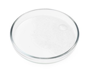 Photo of Petri dish with sample isolated on white